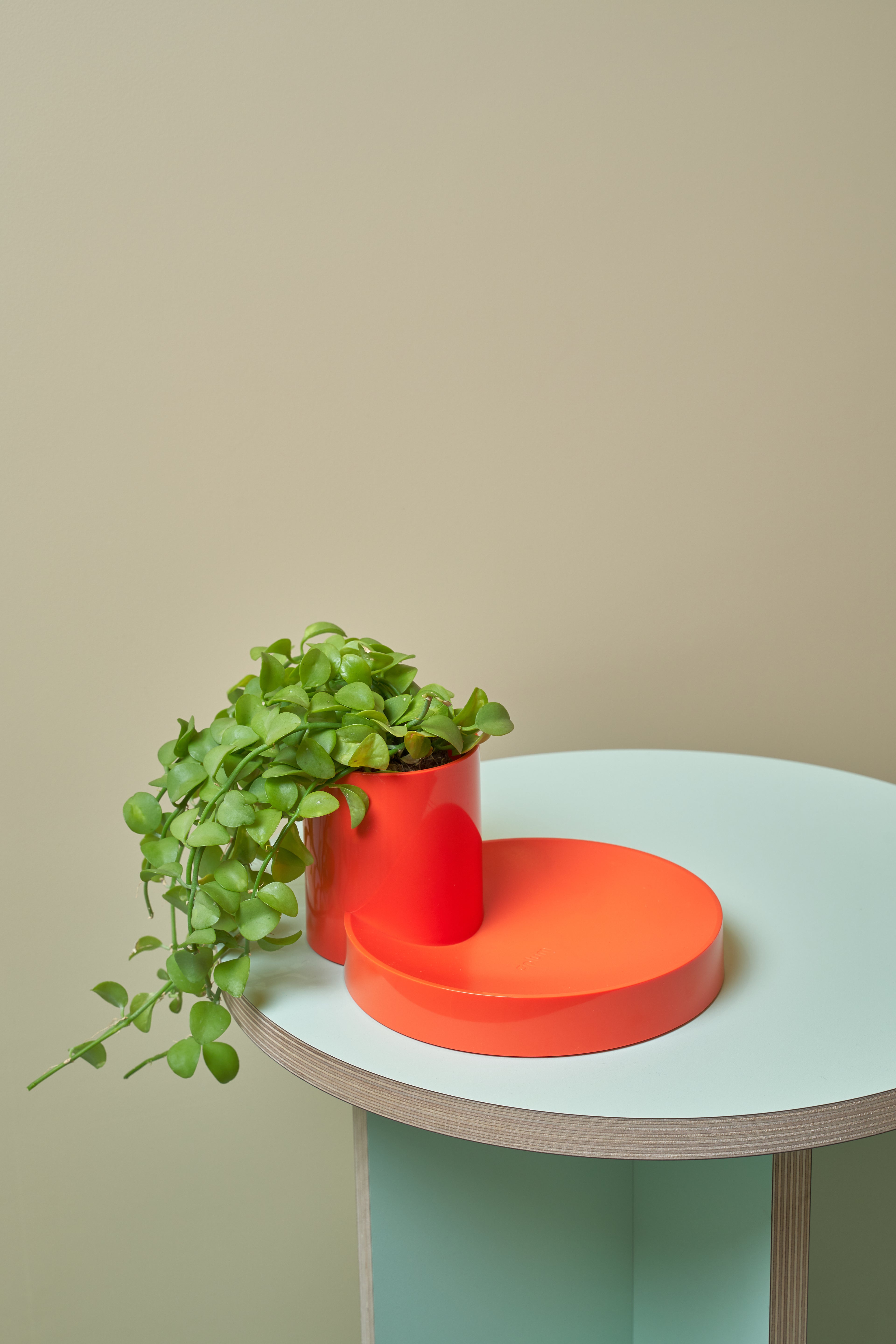 aplum dottray 韓國 收納 置物盤