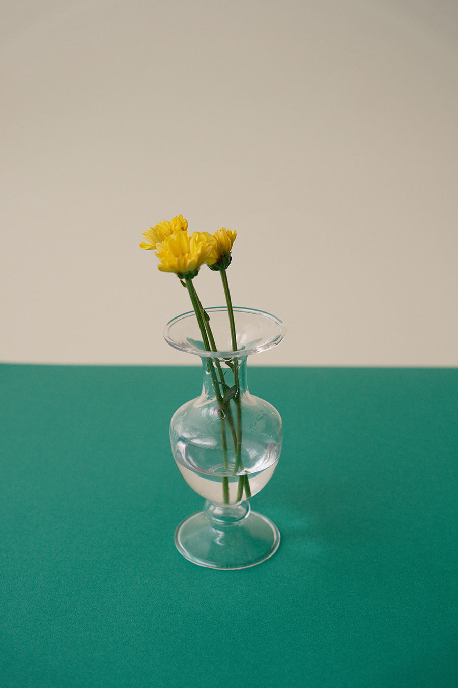 透明小花瓶